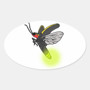 Pegatina Ovalada vuelo de fallo relámpago 2 iluminado