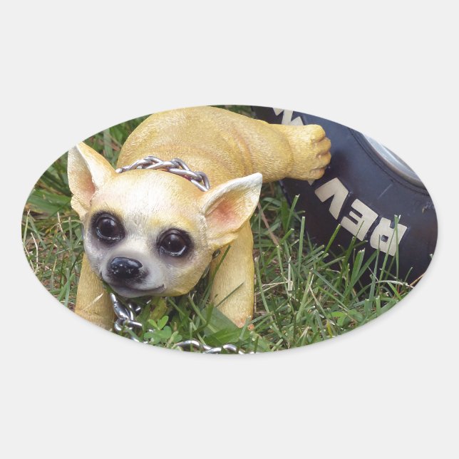 Pegatina Ovalada Whiz Kid (Anverso)