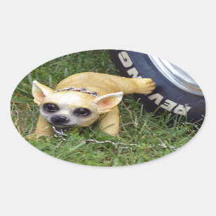 Pegatina Ovalada Whiz Kid