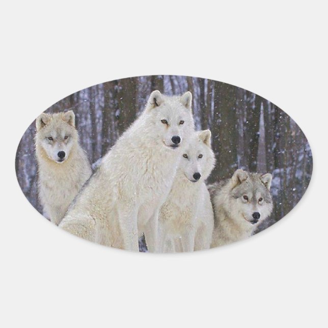 Pegatina Ovalada Wolf Family (Anverso)
