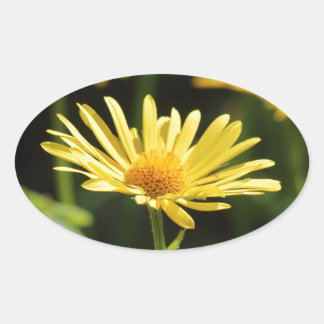 Pegatina Ovalada Yellow Daisy