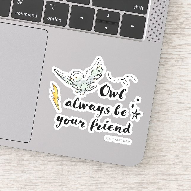 Pegatina Owl Siempre Sea Tu Amigo (Detalle)
