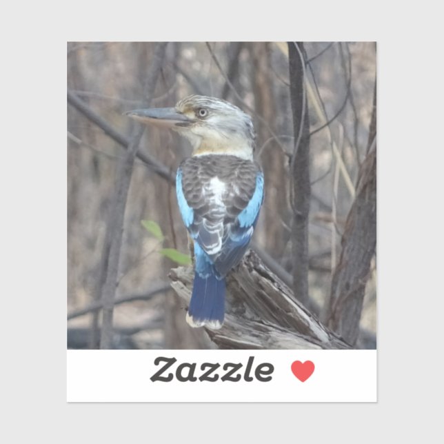 Pegatina Pájaro de Kookaburra (Hoja)