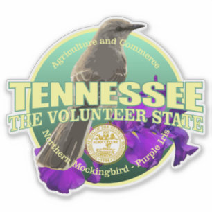 Pegatina Pájaro y flor de estado de Tennessee