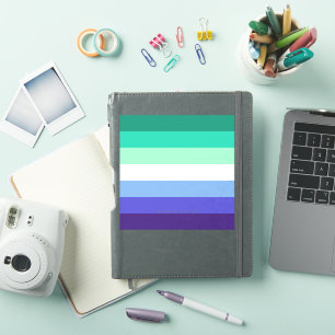 Pegatina Paleta de la bandera de hombres gays inclusiva tra