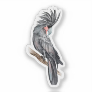 Pegatina Palm Cockatoo Personalizado-Pegatina de vinilo de