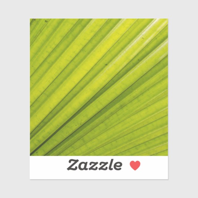 Pegatina Palm Leaf (Hoja)
