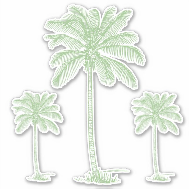 Pegatina Palmetto Palm Trees Costero Verde Preppy (Anverso)