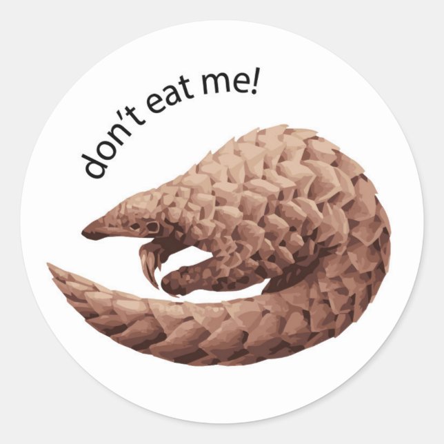 Pegatina Pangolin (Anverso)