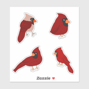 Pegatina Paquete de Stickers de Cardenal de Dibujos Animado