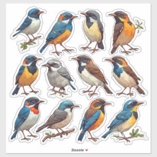 Pegatina Paquete de Stickers de Ilustración de Pájaro de Pr