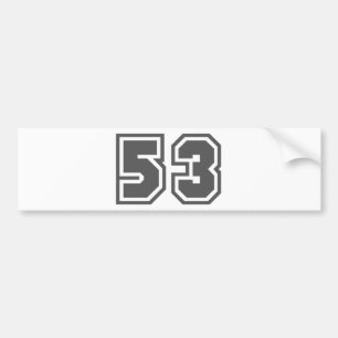 PEGATINA PARA COCHE 53