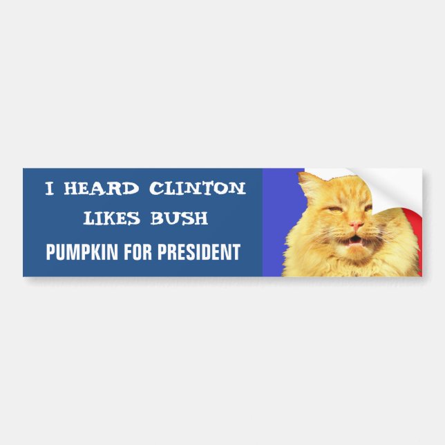 Pegatina Para Coche ¿A Clinton le gusta Bush? (Frente)