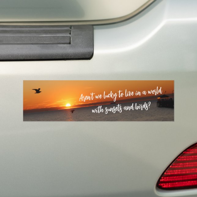 Pegatina Para Coche "A World With Sunsets and Birds" (en coche)