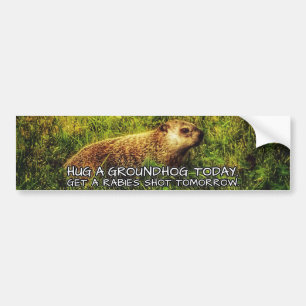 Pegatina Para Coche Abrace un groundhog hoy. Consiga una rabia tirada
