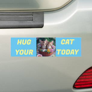 Pegatina Para Coche Abraza tu gato hoy