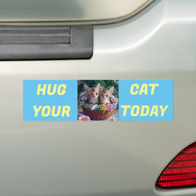 Pegatina Para Coche Abraza tu gato hoy (en coche)