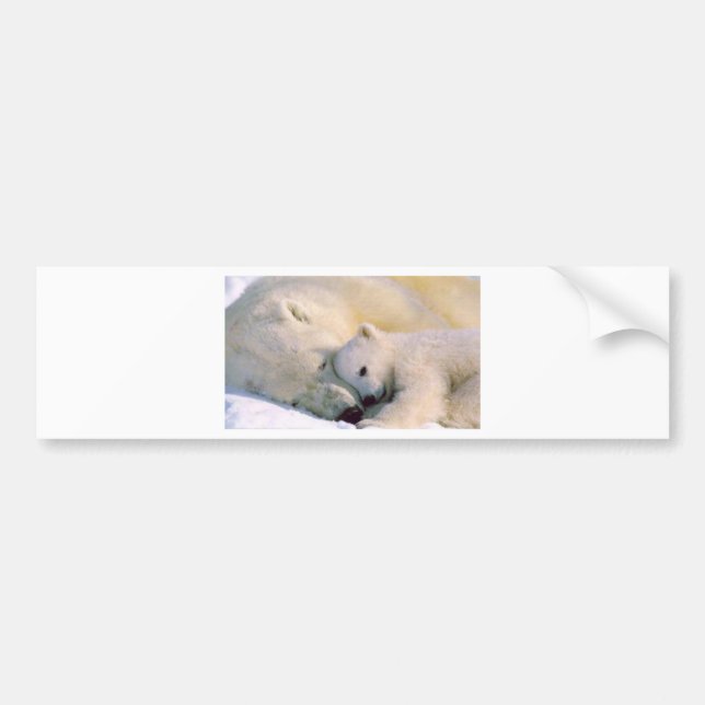 Pegatina Para Coche Abrazos del oso polar (Frente)