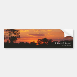 Pegatina Para Coche Acacia Sunset