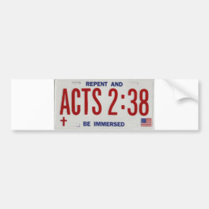Pegatina Para Coche ACTS_2_38_license_plate02