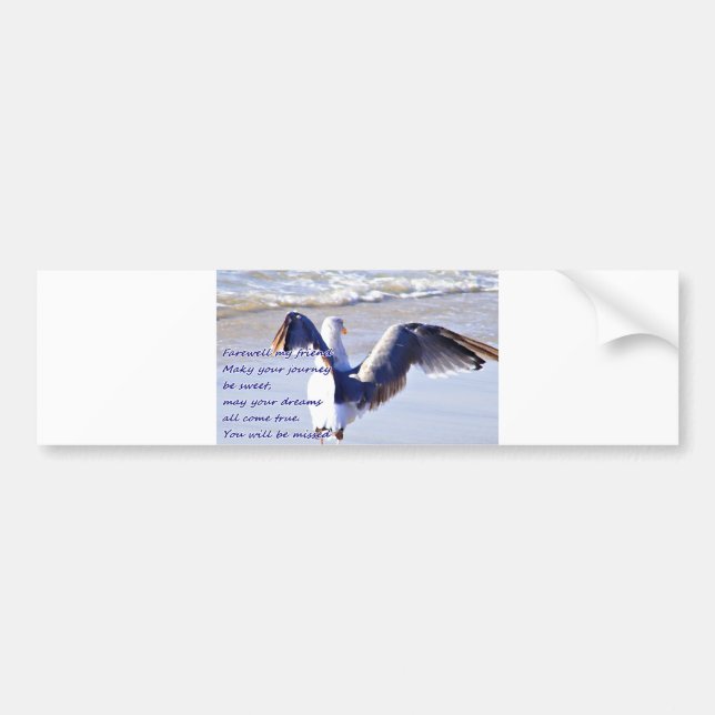 Pegatina Para Coche Adiós_ (Frente)