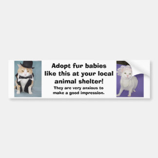 Pegatina Para Coche Adopte a los bebés de la piel como esto en su