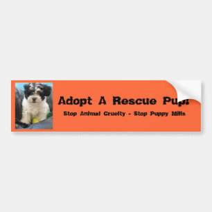 Pegatina Para Coche ¡Adopte un perrito del rescate!