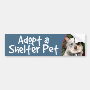 Pegatina Para Coche Adopte un perro australiano del ganado del mascota