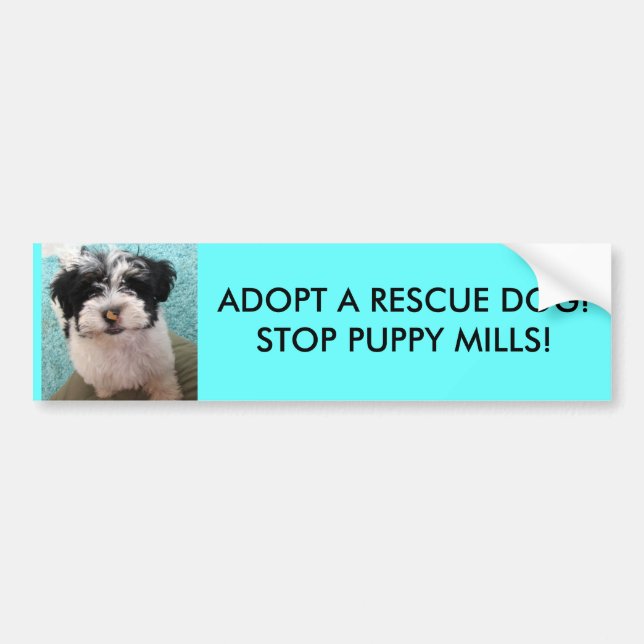 PEGATINA PARA COCHE ¡ADOPTE UN PERRO DEL RESCATE! ¡PARE LOS MOLINOS (Frente)