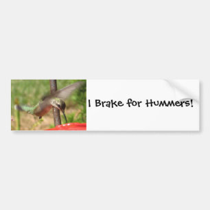 Pegatina Para Coche AF colibrí Bumpersticker