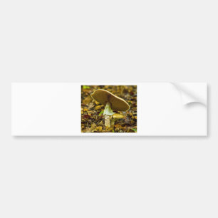 Pegatina Para Coche Agárico de mosca amarillo-naranja