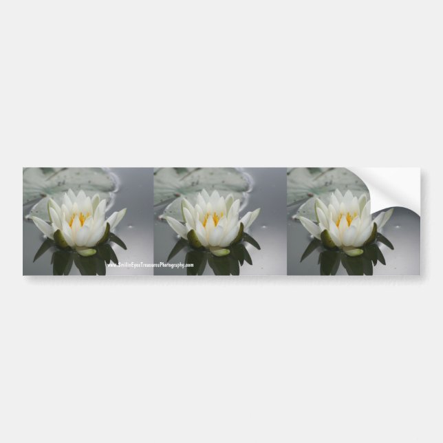 Pegatina Para Coche Agua Lily Flor Bumper Sticker Car Art (Frente)