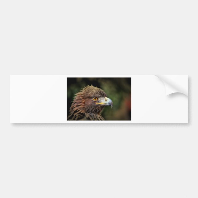 Pegatina Para Coche águila dorada (Frente)