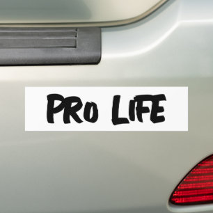 PEGATINA PARA COCHE AGUJERO DE BUMPER DE VIDA PROFESIONAL
