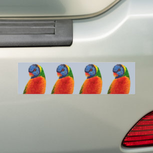 PEGATINA PARA COCHE AGUJEROS DE PARROT BUMPER