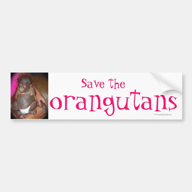 Pegatina Para Coche Ahorre la especie en peligro: orangutanes (Frente)