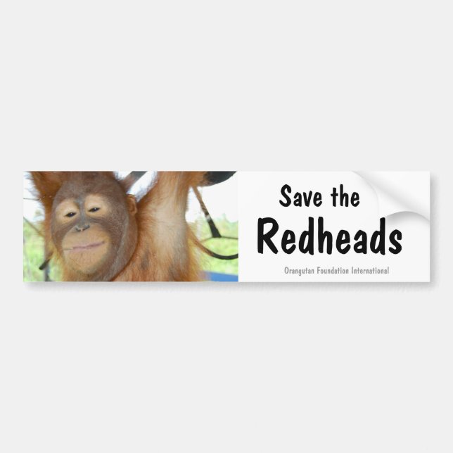 Pegatina Para Coche Ahorre la fauna del orangután de los Redheads (Frente)