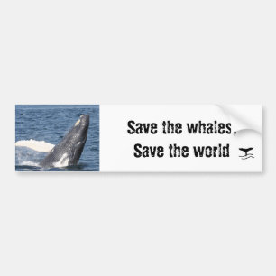 Pegatina Para Coche Ahorre las ballenas, ahorre el mundo