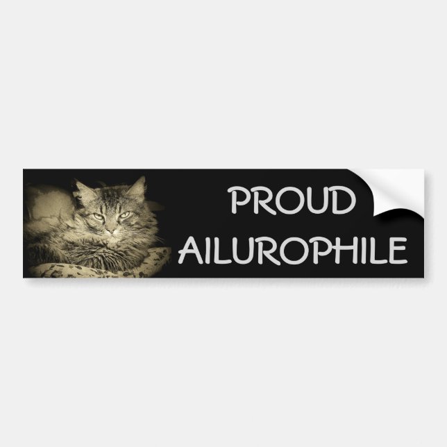 Pegatina Para Coche Ailurophile orgulloso (amante del gato) (Frente)