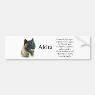 Pegatina Para Coche Akita Inu Trivia Bumper Sticker