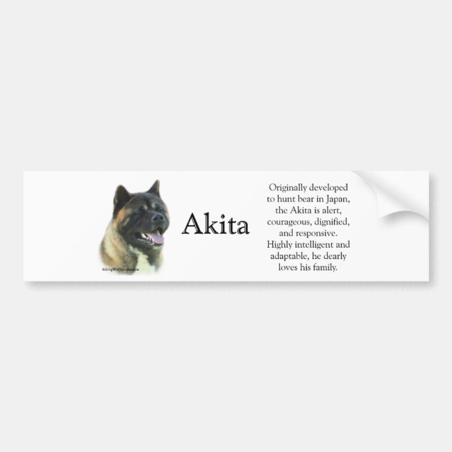 Pegatina Para Coche Akita Inu Trivia Bumper Sticker (Frente)