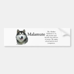 Pegatina Para Coche Alaskan Malamute Trivia Bumper Sticker