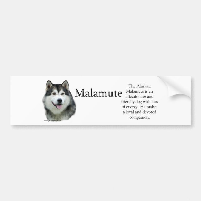 Pegatina Para Coche Alaskan Malamute Trivia Bumper Sticker (Frente)
