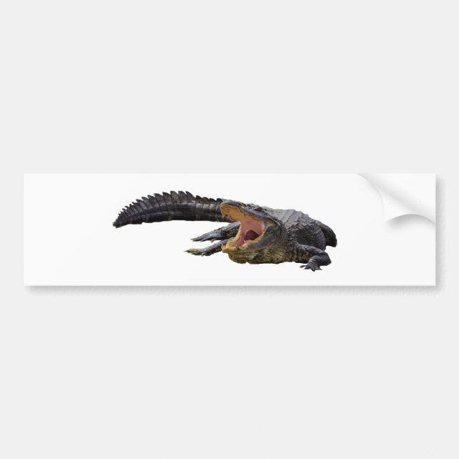Pegatina Para Coche Alligator (Frente)