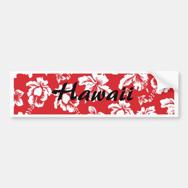 Pegatina Para Coche Aloha Hawaii (Frente)