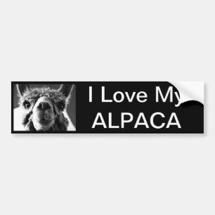 Pegatina Para Coche Alpaca