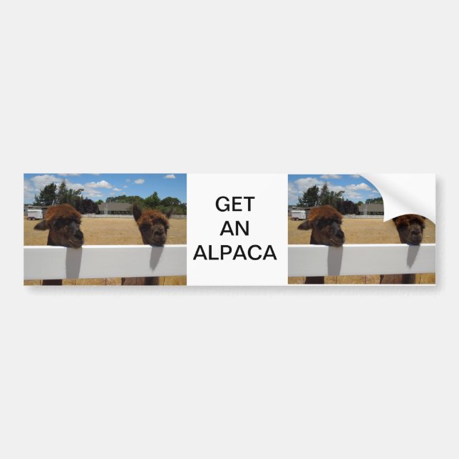 Pegatina Para Coche Alpacas en Templeton, California (Frente)