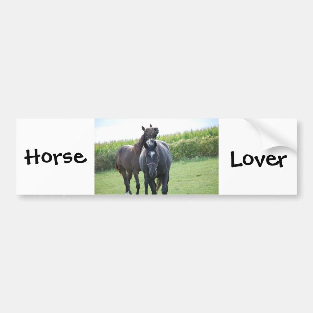 Pegatina Para Coche Amantes del caballo (Frente)