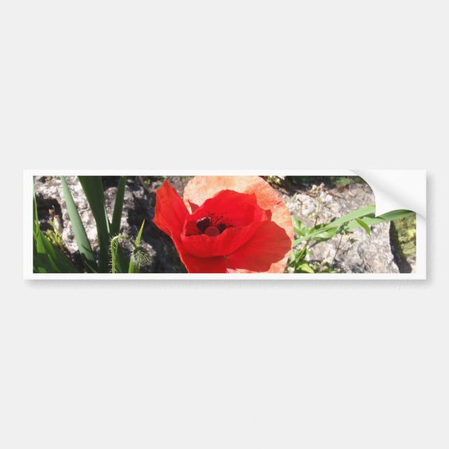 Pegatina Para Coche Amapola roja (Frente)