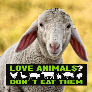 Pegatina Para Coche ¿Amar a los animales? No los comas, Vegan Activism